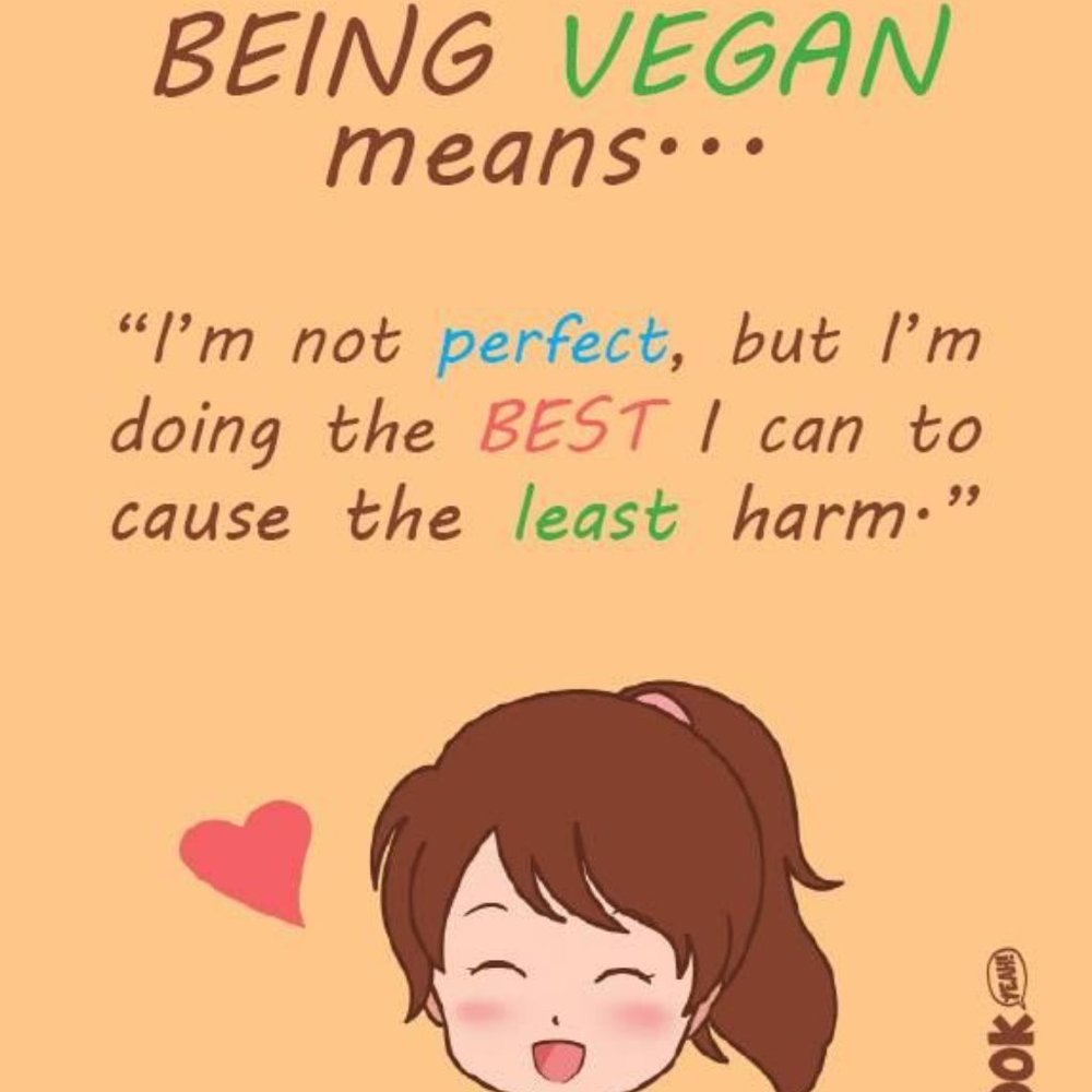 If we can live well without harming other living beings, why wouldn't we? - Picture 7 of 15